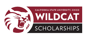 Wildcat Scholarship